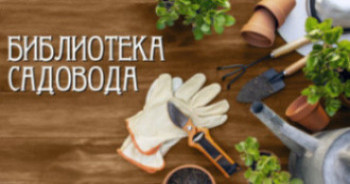 biliosadovod2