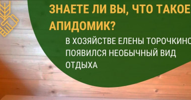 апитерапия в Смоленской области - фото - 3