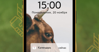 нет лейкозу: как оздоровить стадо коров и избежать экономических потерь - фото - 1