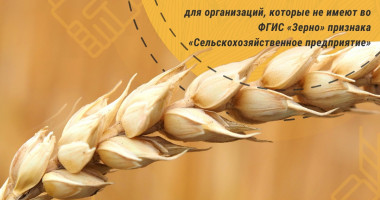 уважаемые пользователи ФГИС «Зерно» - фото - 1