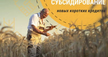 минсельхоз направит 18 млрд рублей на субсидирование новых коротких кредитов - фото - 1