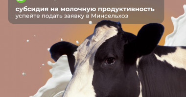начат приём документов для предоставления субсидий на возмещение части затрат в молочном скотоводстве - фото - 1