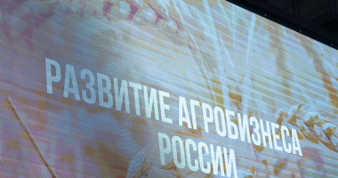форум «Развитие агробизнеса России» проходит в Липецкой области - фото - 1