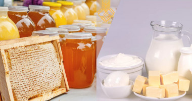 пчеловодство и производство молочных продуктов - фото - 1