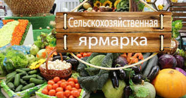 сельскохозяйственная ярмарка переносится на 5 октября - фото - 1