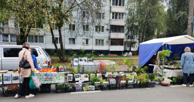 традиционная сельскохозяйственная ярмарка прошла в городе Смоленске - фото - 1