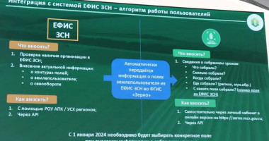 фгис Семеноводство и Зерно, ЕФИС ЗСН: главные ошибки и вопросы интеграции систем - фото - 1