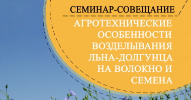 особенности возделывания льна-долгунца - фото - 1