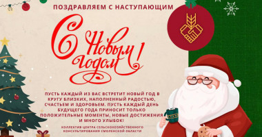 поздравляем с Новым годом - фото - 1