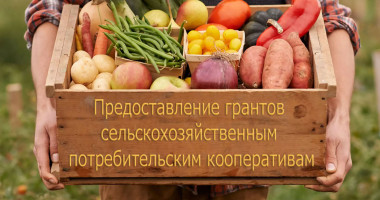 предоставление грантов сельскохозяйственным потребительским кооперативам - фото - 1