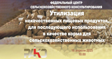 семинар "Утилизация некачественных пищевых продуктов" - фото - 1
